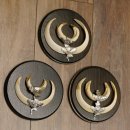 Wildschweinwaffen (Sus scrofa) 3 Stück Keilerwaffen bis 17 cm Trophäe Keiler Gewaff 32.267