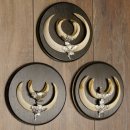 Wildschweinwaffen (Sus scrofa) 3 Stück Keilerwaffen bis 17 cm Trophäe Keiler Gewaff 32.267