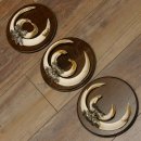 Wildschweinwaffen (Sus scrofa) 3 Stück Keilerwaffen bis 22 cm Trophäe Keiler Gewaff Schilder