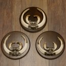 Wildschweinwaffen (Sus scrofa) 3 Stück Keilerwaffen bis 22 cm Trophäe Keiler Gewaff Schilder