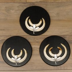 Wildschweinwaffen (Sus scrofa) 3 Stück Keilerwaffen bis 14,5 cm Trophäe Keiler Gewaff Schilder