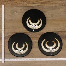 Wildschweinwaffen (Sus scrofa) 3 Stück Keilerwaffen bis 14,5 cm Trophäe Keiler Gewaff Schilder