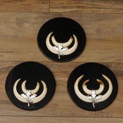 Wildschweinwaffen (Sus scrofa) 3 Stück Keilerwaffen bis 14,5 cm Trophäe Keiler Gewaff Schilder