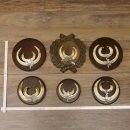 Wildschweinwaffen (Sus scrofa) 6 Stück Keilerwaffen...