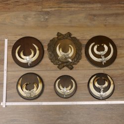 Wildschweinwaffen (Sus scrofa) 6 Stück Keilerwaffen bis 18 cm Trophäe Keiler Gewaff versch. Schilder