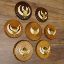 Wildschweinwaffen (Sus scrofa) 7 Stück Keilerwaffen max. 12,5 cm Trophäe Keiler Gewaff 32.272