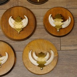 Wildschweinwaffen (Sus scrofa) 7 Stück Keilerwaffen max. 12,5 cm Trophäe Keiler Gewaff 32.272