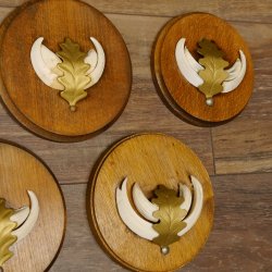 Wildschweinwaffen (Sus scrofa) 7 Stück Keilerwaffen max. 12,5 cm Trophäe Keiler Gewaff 32.272