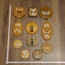 Wildschweinwaffen (Sus scrofa) 11 Stück Keilerwaffen...