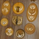 Wildschweinwaffen (Sus scrofa) 11 Stück Keilerwaffen bis 12 cm Trophäe Keiler Gewaff versch. Schilder