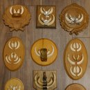 Wildschweinwaffen (Sus scrofa) 11 Stück Keilerwaffen bis 12 cm Trophäe Keiler Gewaff versch. Schilder