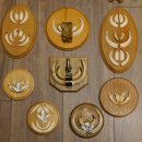 Wildschweinwaffen (Sus scrofa) 11 Stück Keilerwaffen bis 12 cm Trophäe Keiler Gewaff versch. Schilder