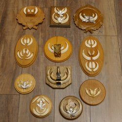 Wildschweinwaffen (Sus scrofa) 11 Stück Keilerwaffen bis 12 cm Trophäe Keiler Gewaff versch. Schilder