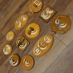 Wildschweinwaffen (Sus scrofa) 11 Stück Keilerwaffen bis 12 cm Trophäe Keiler Gewaff versch. Schilder