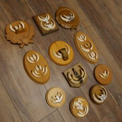 Wildschweinwaffen (Sus scrofa) 11 Stück Keilerwaffen bis 12 cm Trophäe Keiler Gewaff versch. Schilder