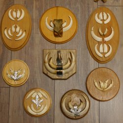 Wildschweinwaffen (Sus scrofa) 11 Stück Keilerwaffen bis 12 cm Trophäe Keiler Gewaff versch. Schilder