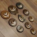 Wildschweinwaffen (Sus scrofa) 10 Stück Keilerwaffen bis 15,5 cm Trophäe Keiler Gewaff versch. Schilder