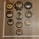 Wildschweinwaffen (Sus scrofa) 10 Stück Keilerwaffen...