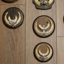 Wildschweinwaffen (Sus scrofa) 10 Stück Keilerwaffen bis 15,5 cm Trophäe Keiler Gewaff versch. Schilder