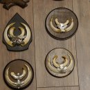 Wildschweinwaffen (Sus scrofa) 10 Stück Keilerwaffen bis 15,5 cm Trophäe Keiler Gewaff versch. Schilder