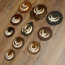 Wildschweinwaffen (Sus scrofa) 10 Stück Keilerwaffen bis 15,5 cm Trophäe Keiler Gewaff versch. Schilder