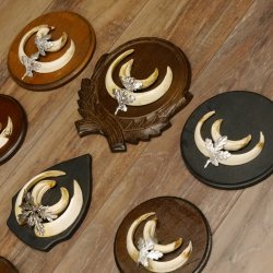 Wildschweinwaffen (Sus scrofa) 10 Stück Keilerwaffen bis 15,5 cm Trophäe Keiler Gewaff versch. Schilder