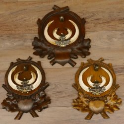 Wildschweinwaffen (Sus scrofa) 3 Stück Keilerwaffen 18/20/19 cm Trophäe Keiler Gewaff Schilder