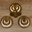 Wildschweinwaffen (Sus scrofa) 3 Stück Keilerwaffen...