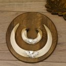 Wildschweinwaffen (Sus scrofa) 3 Stück Keilerwaffen bis 18,5 cm Trophäe Keiler Gewaff Schilder 32.276