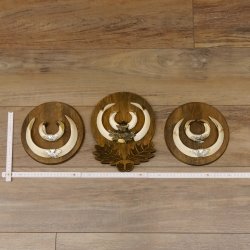 Wildschweinwaffen (Sus scrofa) 3 Stück Keilerwaffen bis 18,5 cm Trophäe Keiler Gewaff Schilder 32.276