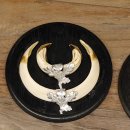 Wildschweinwaffen (Sus scrofa) 5 Stück Keilerwaffen Trophäe Keiler Gewaff Schilder 32.277