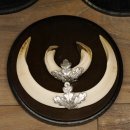 Wildschweinwaffen (Sus scrofa) 5 Stück Keilerwaffen Trophäe Keiler Gewaff Schilder 32.277