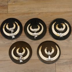 Wildschweinwaffen (Sus scrofa) 5 Stück Keilerwaffen Trophäe Keiler Gewaff Schilder 32.277