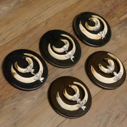 Wildschweinwaffen (Sus scrofa) 5 Stück Keilerwaffen Trophäe Keiler Gewaff Schilder 32.277