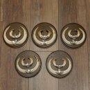 Wildschweinwaffen (Sus scrofa) 5 Stück Keilerwaffen...