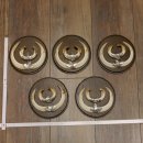 Wildschweinwaffen (Sus scrofa) 5 Stück Keilerwaffen...