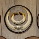 Wildschweinwaffen (Sus scrofa) 5 Stück Keilerwaffen Trophäe Keiler Gewaff Schilder 32.279