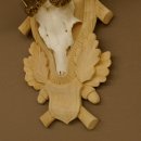 Rehgeweih Rehbock Gewicht 305 g Reh Geweih Bock Gehörn Trophäenschild 607.149