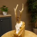 Rehgeweih Reh Gewicht 295 g Geweih Gehörn Rehbock...