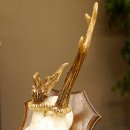 Rehbock Reh Bock Geweih Rehgeweih auf Trophäenschild 603.241