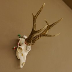 Rehgeweih Medaillenklasse silber 465 g CIC 115,35 IP hochkapitaler Bock Reh Geweih Gehörn