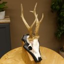 Rehgeweih Gewicht 310 g HL bis 23,2 cm Rehbock Bock Reh...