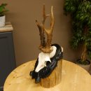 Rehgeweih Gewicht 330 g HL bis 22,7 cm starke Kranzrosen...