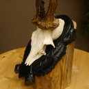 Rehgeweih Gewicht 330 g HL bis 22,7 cm starke Kranzrosen Rehbock Reh Geweih Gehörn Trophäenschild