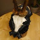 Rehgeweih Gewicht 330 g HL bis 22,7 cm starke Kranzrosen Rehbock Reh Geweih Gehörn Trophäenschild