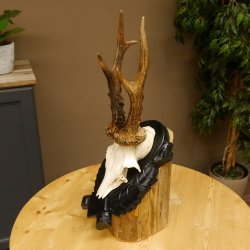 Rehgeweih Gewicht 330 g HL bis 22,7 cm starke Kranzrosen Rehbock Reh Geweih Gehörn Trophäenschild