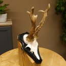 Rehgeweih Gewicht 370 g HL bis 22,3 cm sehr starker...