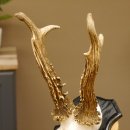 Rehgeweih Gewicht 370 g HL bis 22,3 cm sehr starker Rehbock Bock Reh Geweih doppelter Kreuzbock