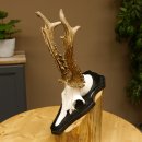 Rehgeweih Gewicht 370 g HL bis 22,3 cm sehr starker Rehbock Bock Reh Geweih doppelter Kreuzbock