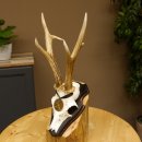 Rehgeweih Medaillenklasse Bronze 365 g CIC 106,55 IP HL bis 24,1 cm Bock Reh Geweih Gehörn Schild